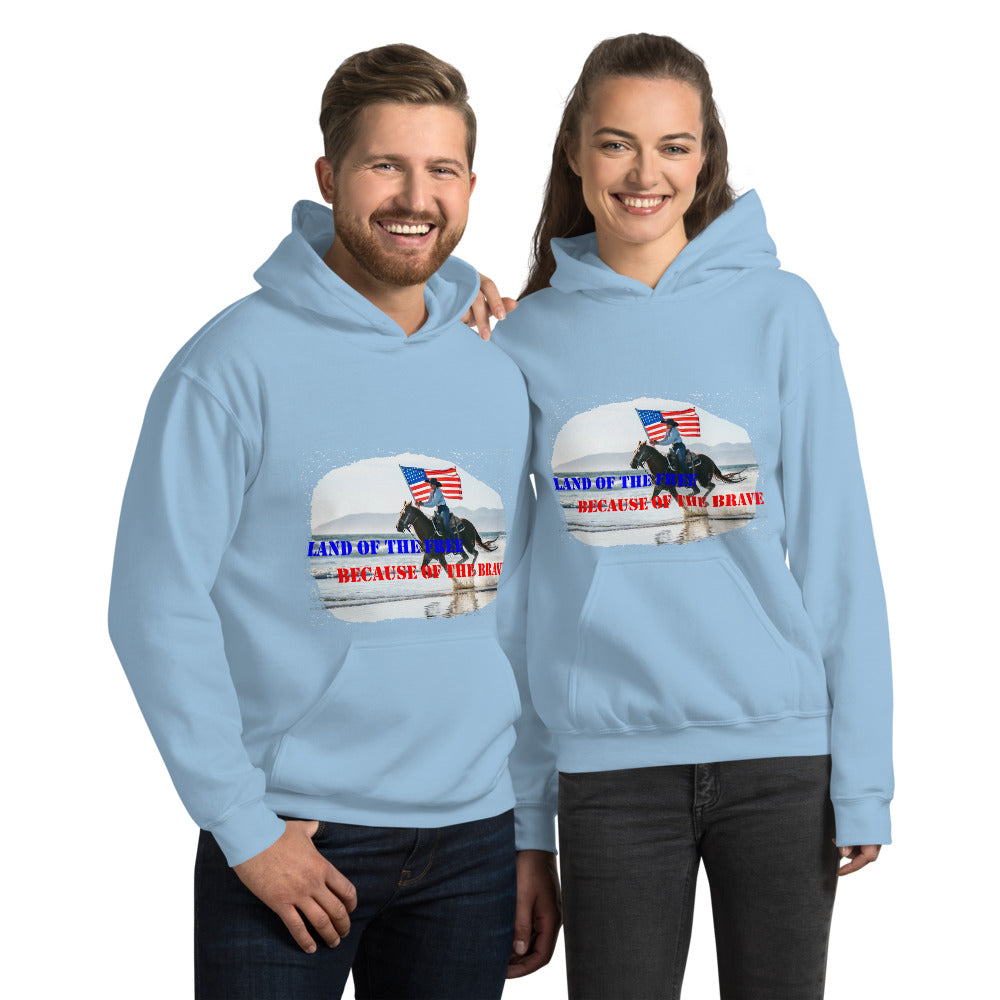 Land of the Free Hoodie