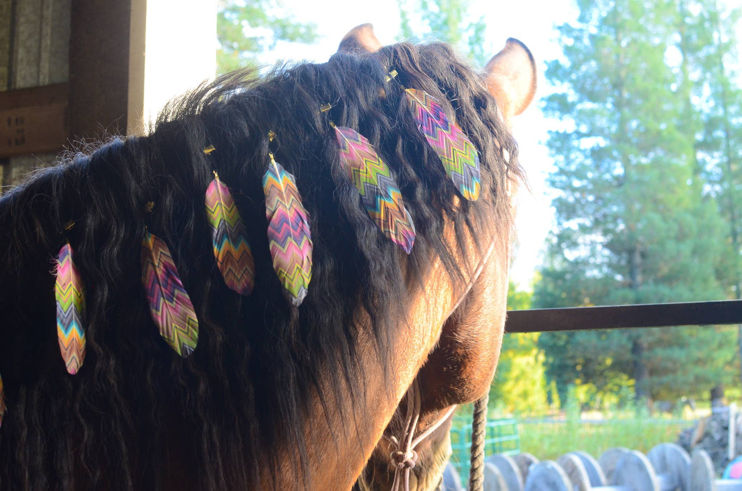 Mane Feathers for Horses - SET OF 5