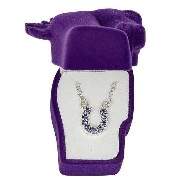 AWST Int'l Aqua Rhinestone Horseshoe Necklace w/Horse Head Gift Box