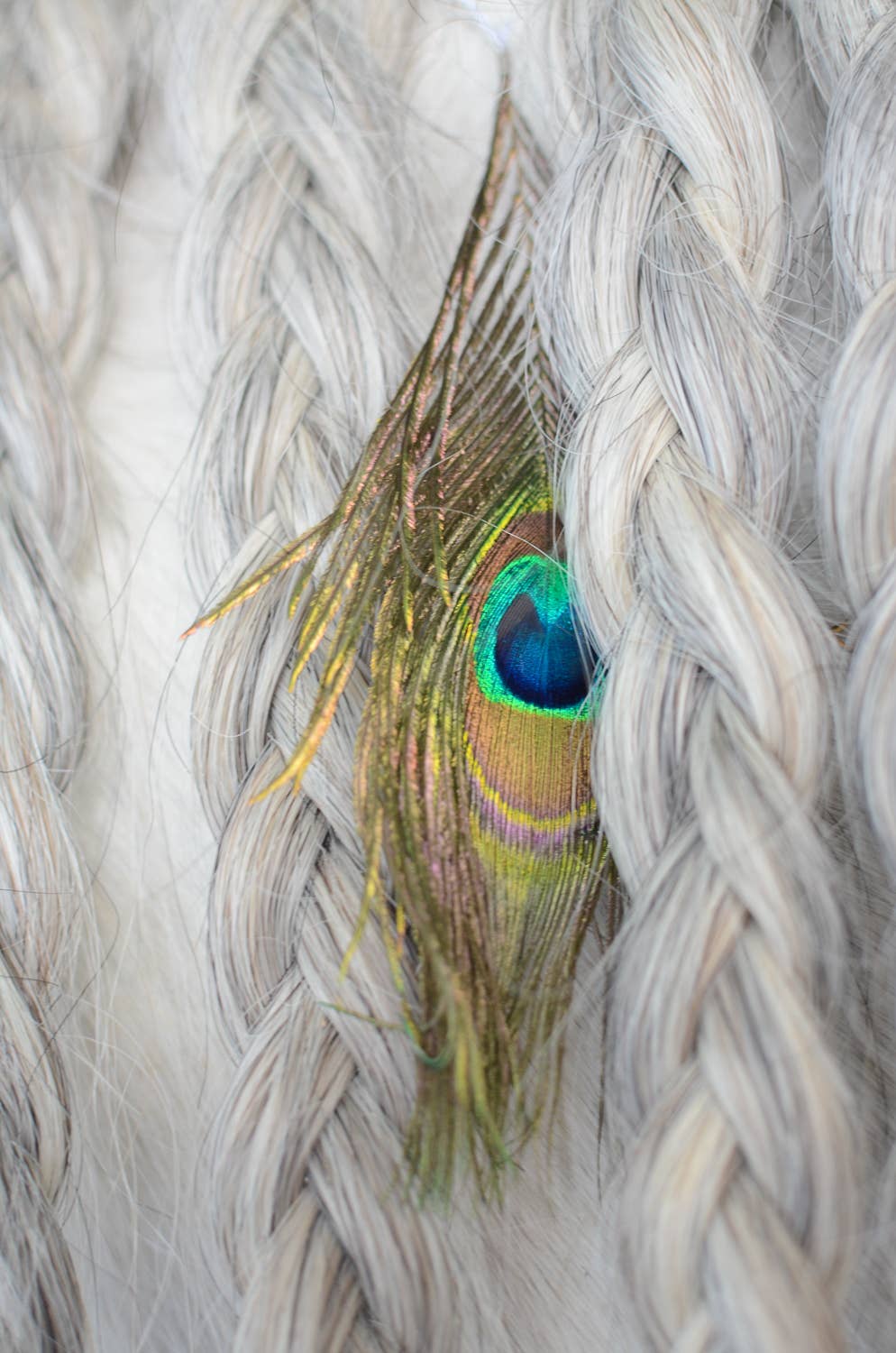 Mane Feathers for Horses - SET OF 5