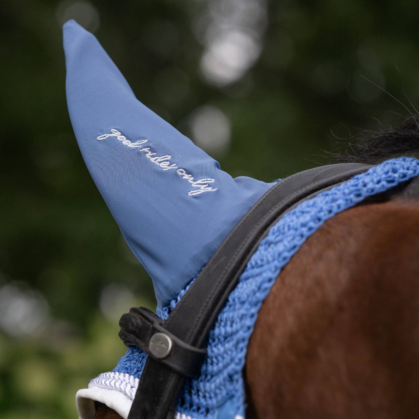 Dapplebay  Sport Fly Veil - French Blue