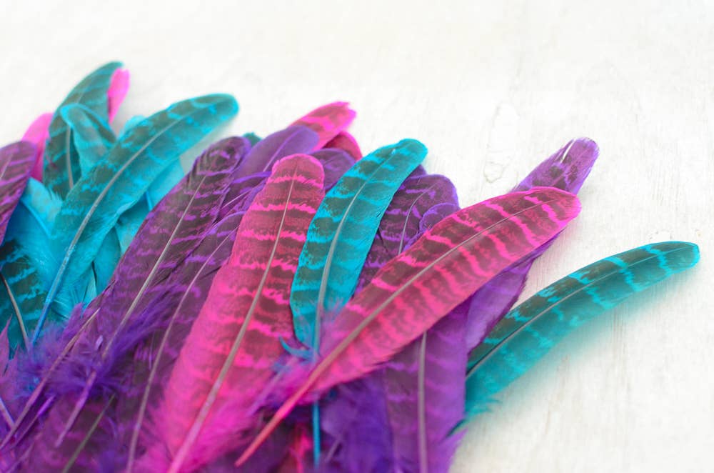 Mane Feathers for Horses - SET OF 5
