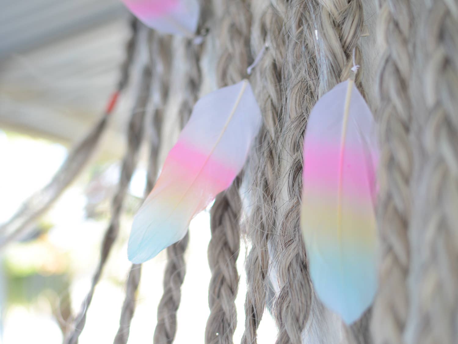 Mane Feathers for Horses - SET OF 5