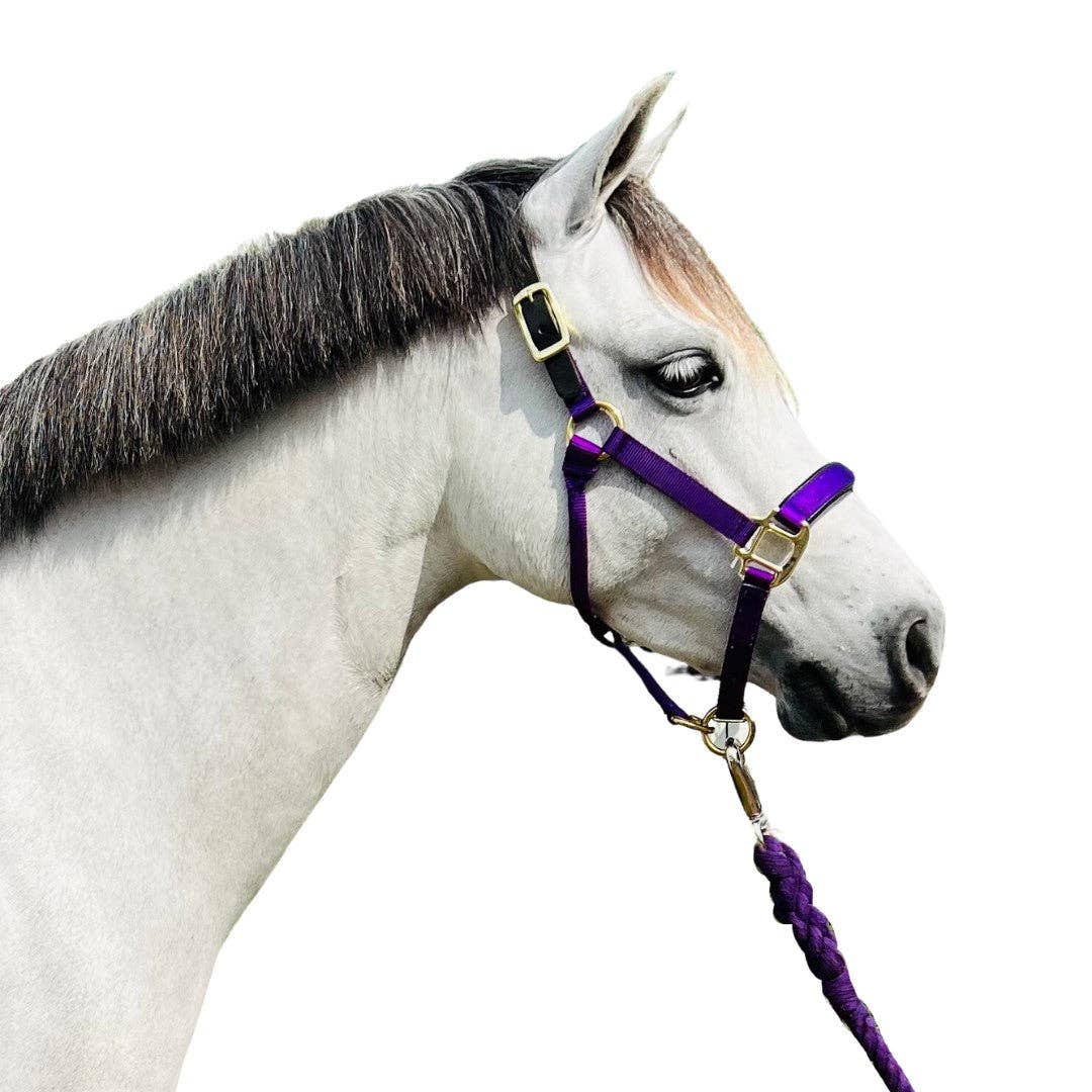 Premium Nylon Breakaway Halter with Padded Crown/Nose