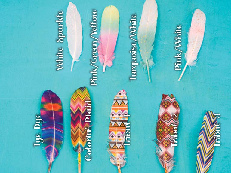 Mane Feathers for Horses - SET OF 5