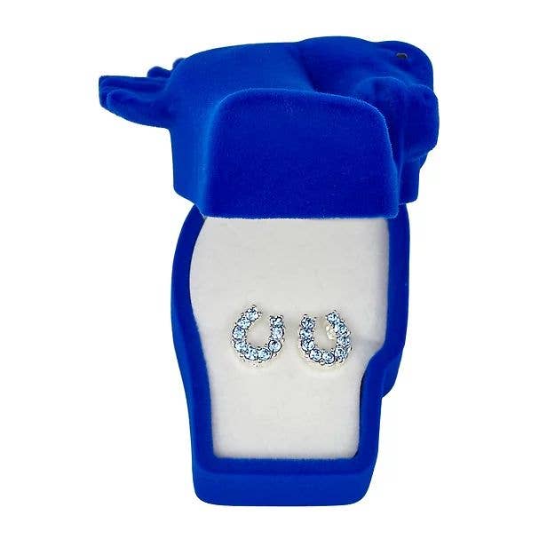 AWST Rhinestone Horseshoe Earrings  w/Horse Head Gift Box