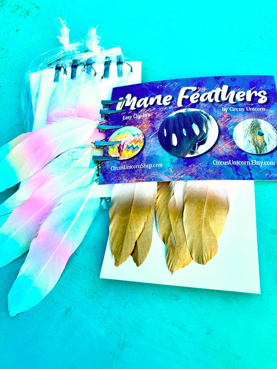 Mane Feathers for Horses - SET OF 5