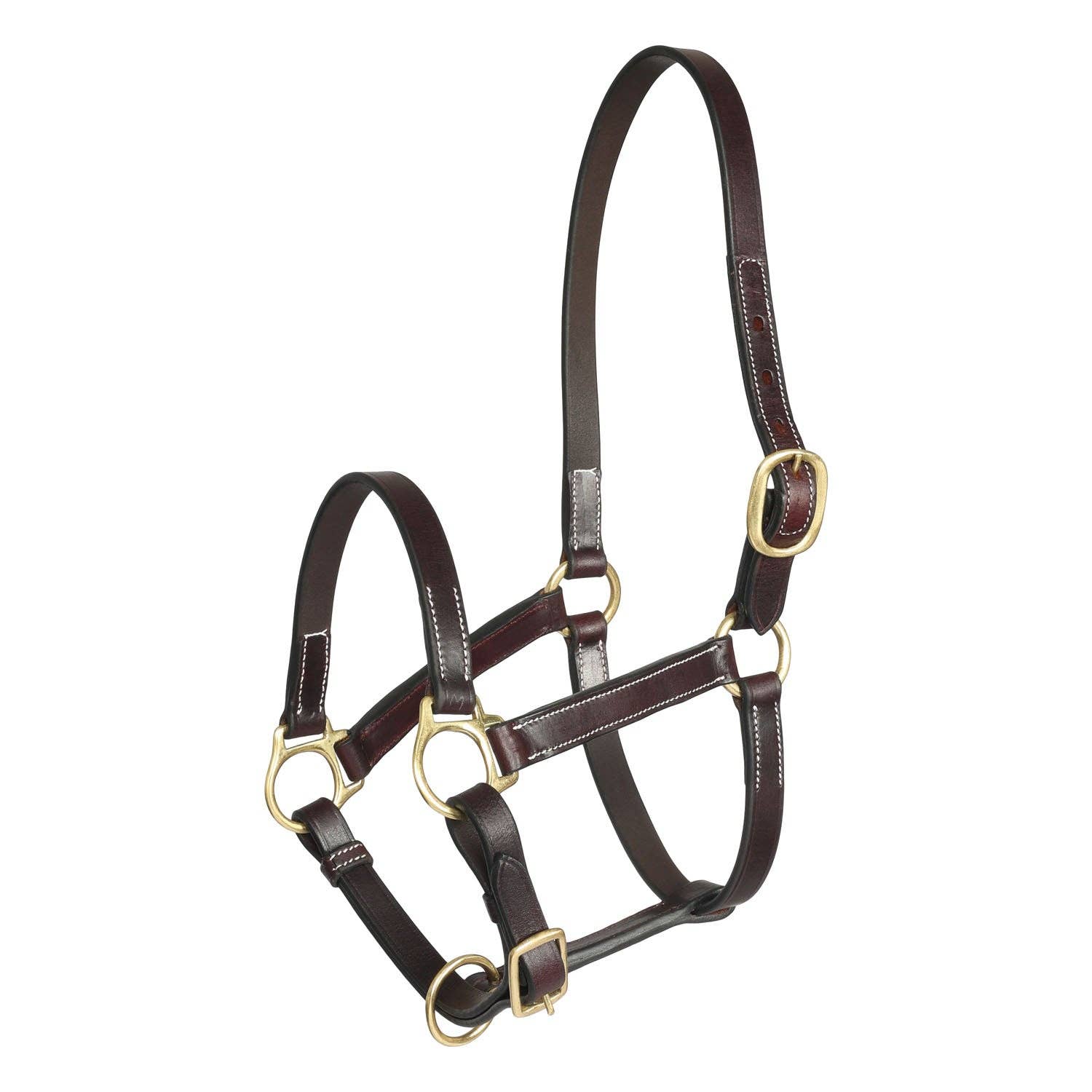 Henri de Rivel Suckling Pre Oiled Leather Halter