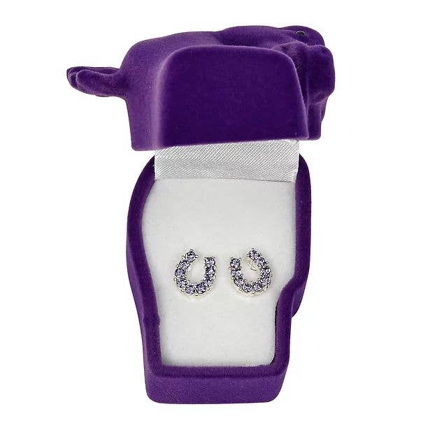 AWST Rhinestone Horseshoe Earrings  w/Horse Head Gift Box